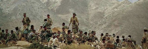 PLPSD Profile Banner