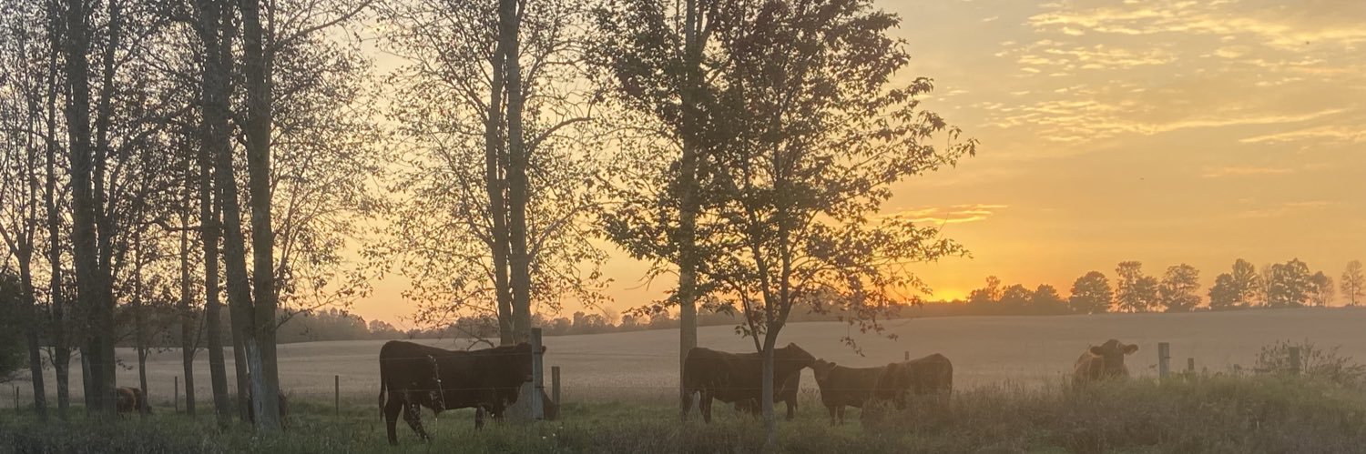 Scott Gilmore banner