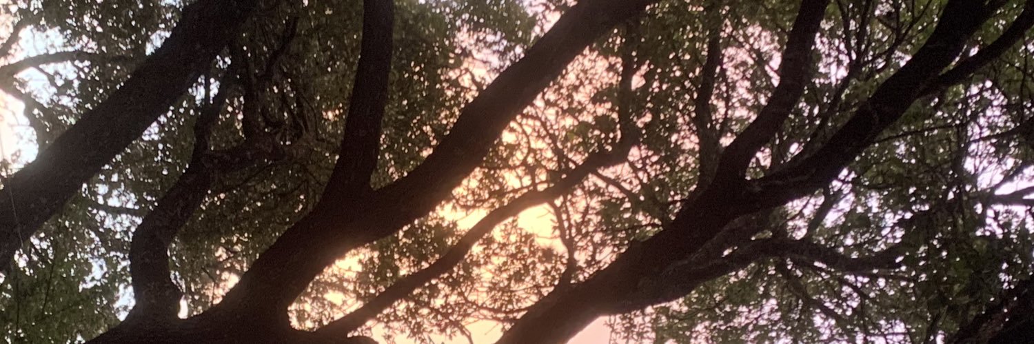 haythax's profile banner image