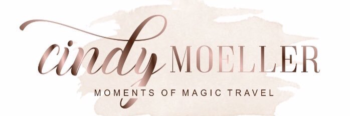 CindyMOMT's profile banner image