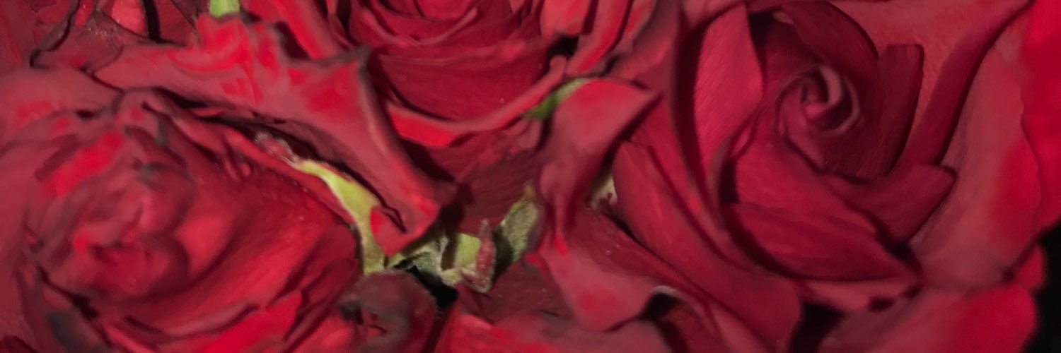 graciemcc_'s profile banner image