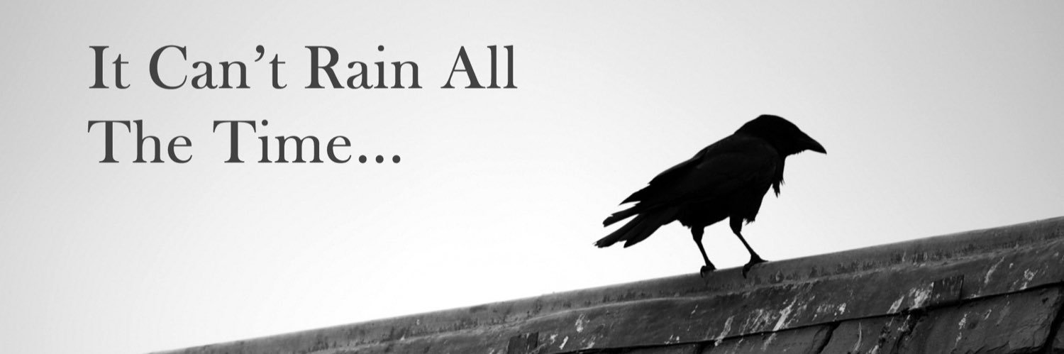 Wicked Wolf 🐺🐦‍⬛ banner