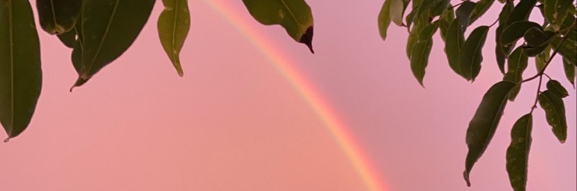 VComasseto's profile banner image