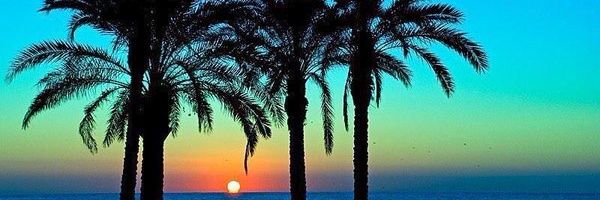 MarlyLobo's profile banner image