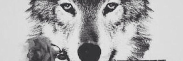 rutfids's profile banner image