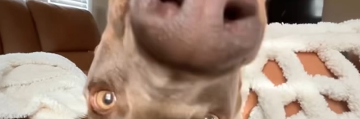 hefnerrjayden's profile banner image