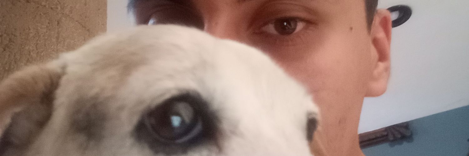TingoPat's profile banner image