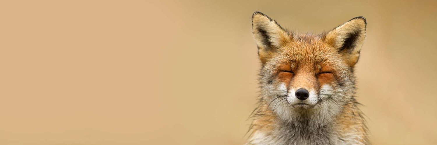 marccroteau's profile banner image