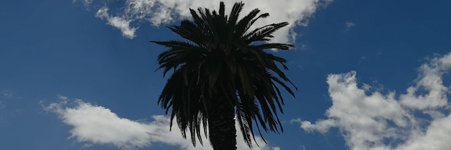 Patrickkappert's profile banner image