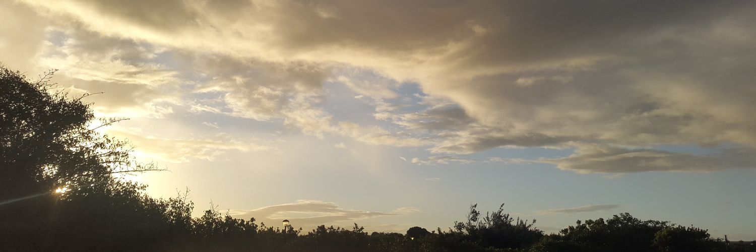 effleurager's profile banner image