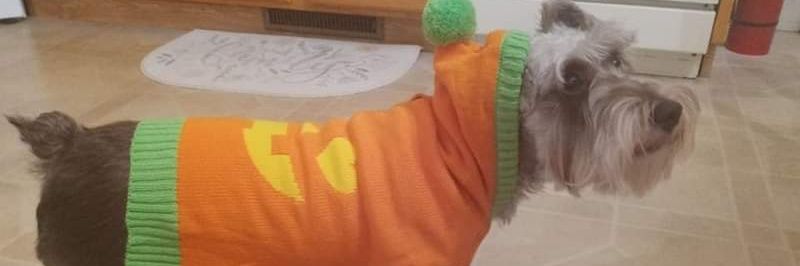 MonicaF1971's profile banner image