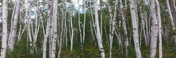 WBLievers Profile Banner