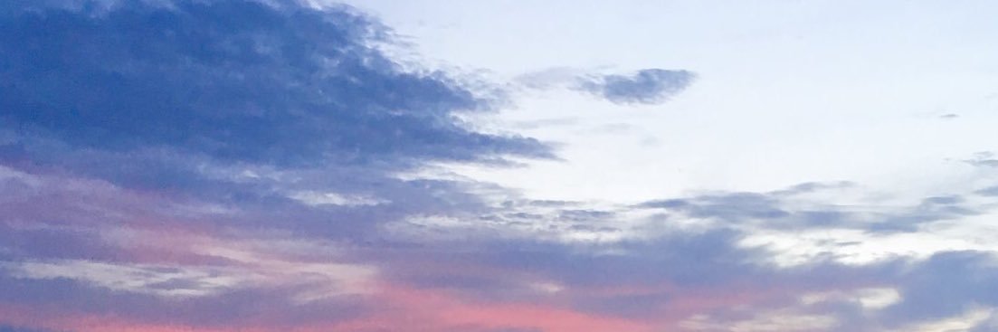 laradeagostini's profile banner image