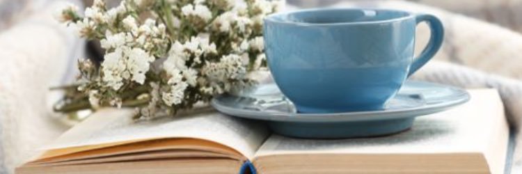 katelynngrob's profile banner image