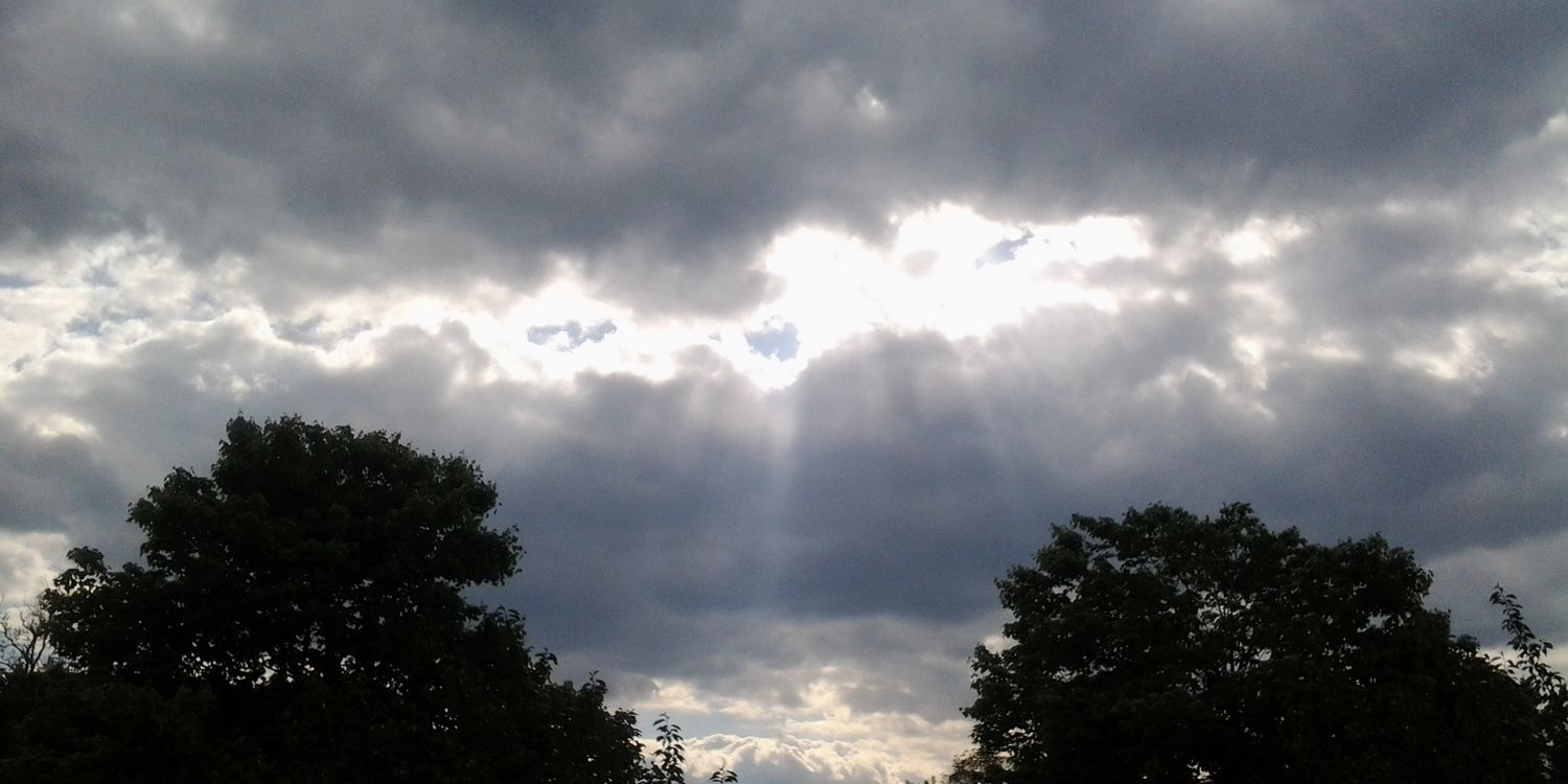 ANew_Wiseman's profile banner image
