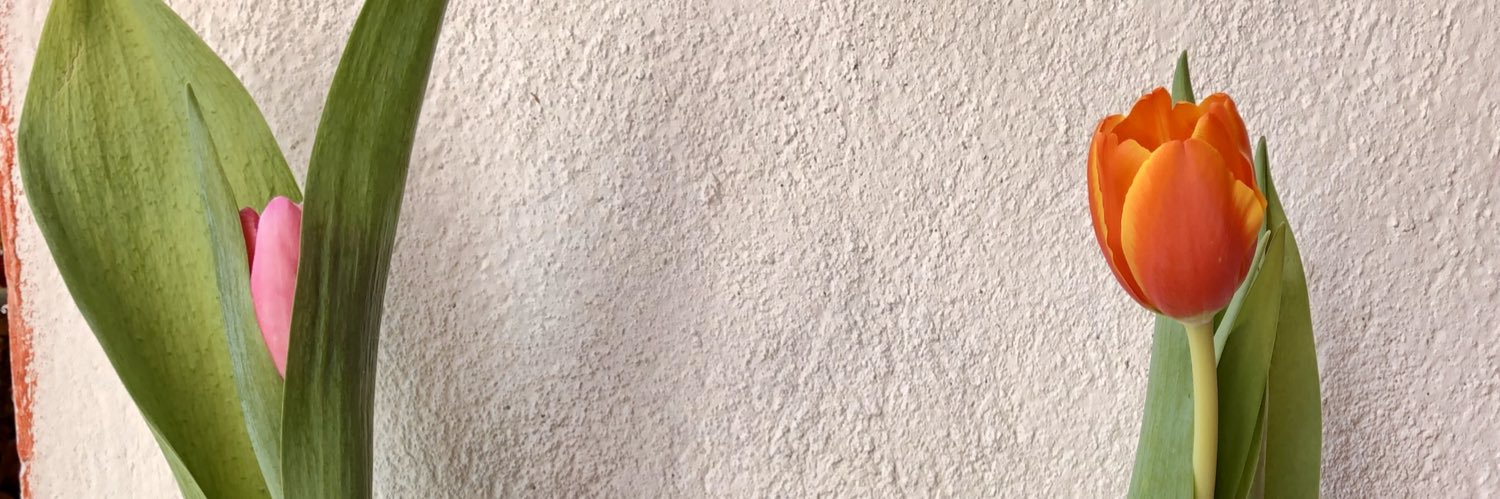 lupis_ram's profile banner image