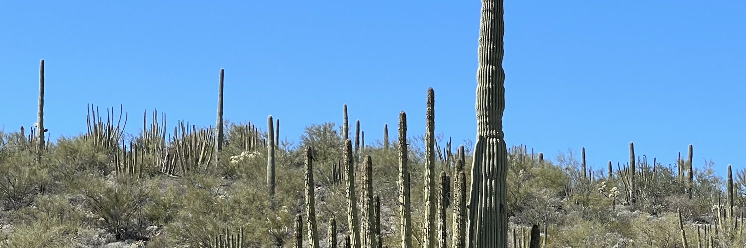 westernland's profile banner image