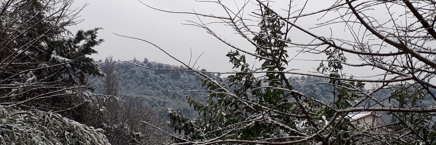 StephCMarseille's profile banner image