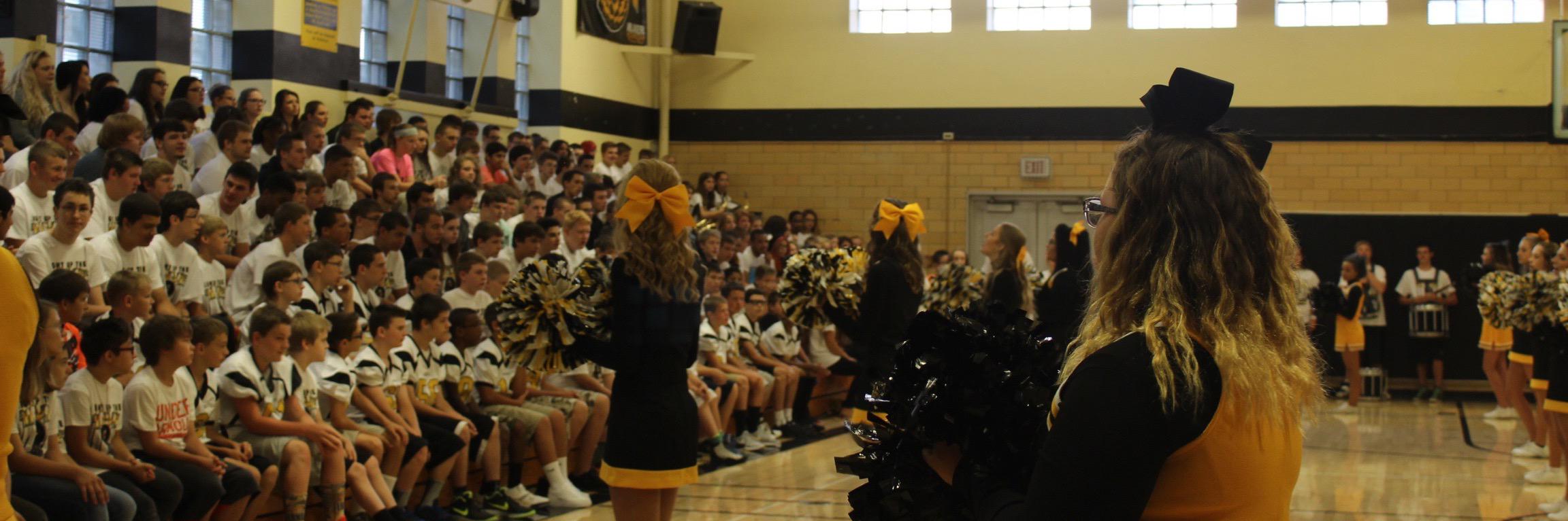 Ferndale Area JSHS banner