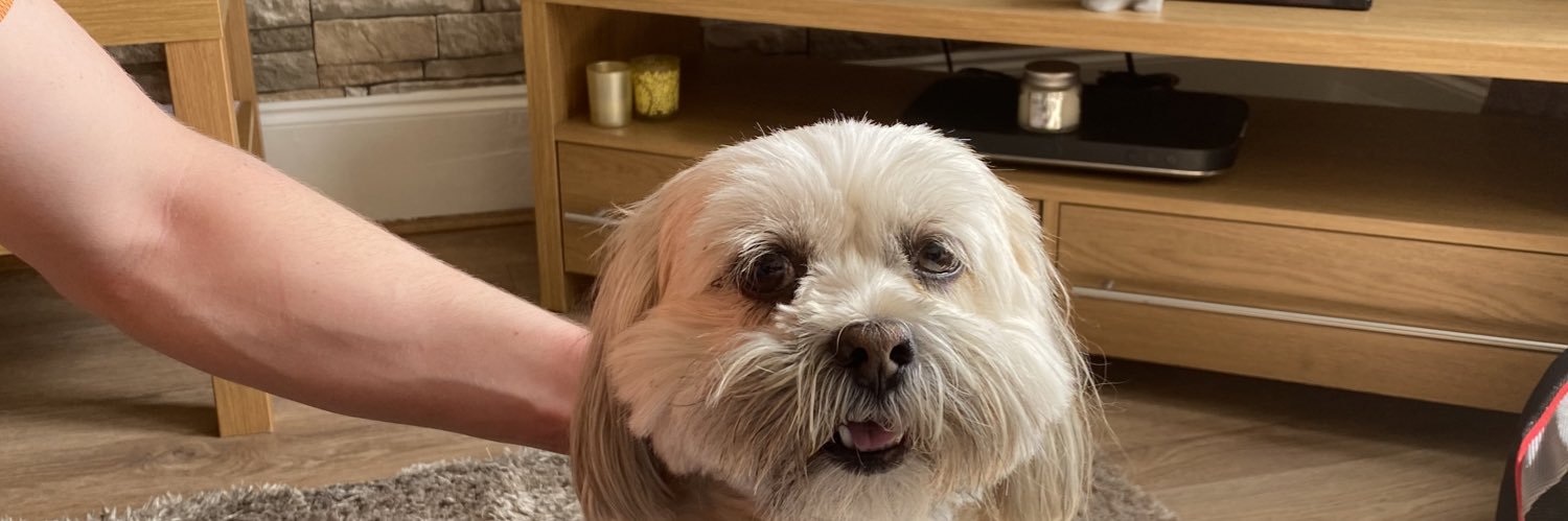 gerald Mannion banner