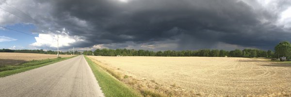 TLynne317 Profile Banner