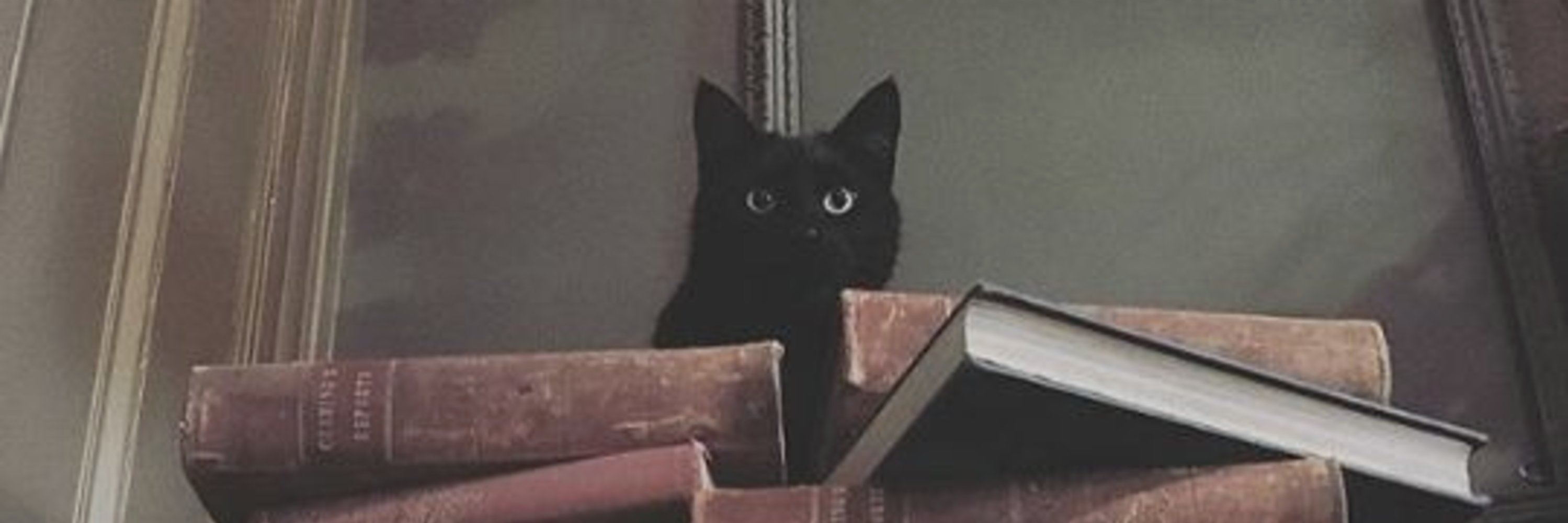 RoseWrites's profile banner image