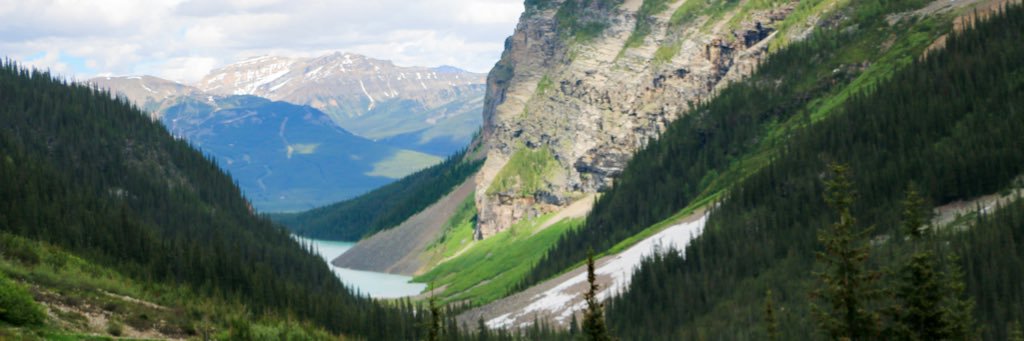 Erin_Dunning's profile banner image