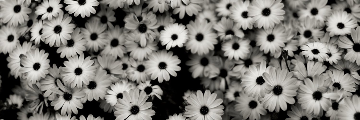 MysanSandman's profile banner image