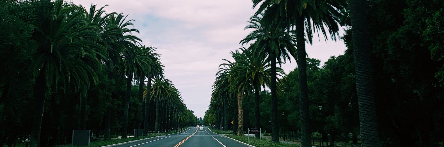 emmav_l's profile banner image