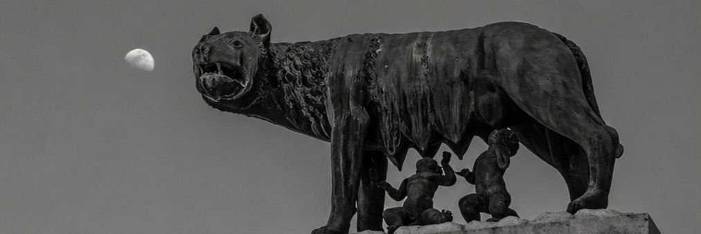 RMorgi's profile banner image