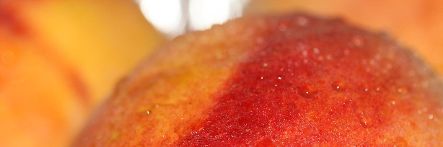 Steven W. Ramey banner