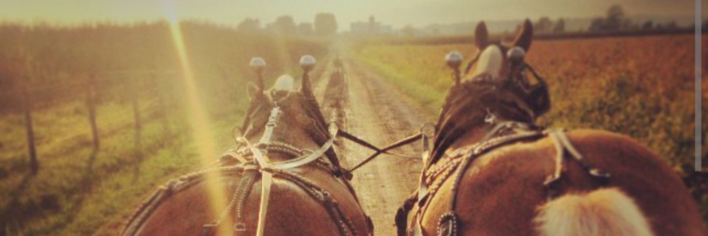 murphy1843's profile banner image