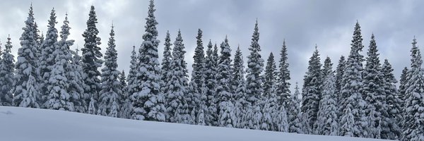 Sandhead Profile Banner