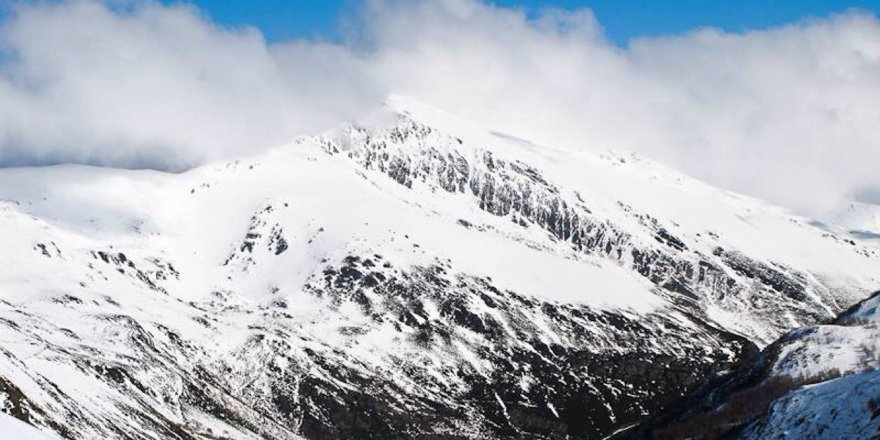 Tigredeguimara's profile banner image