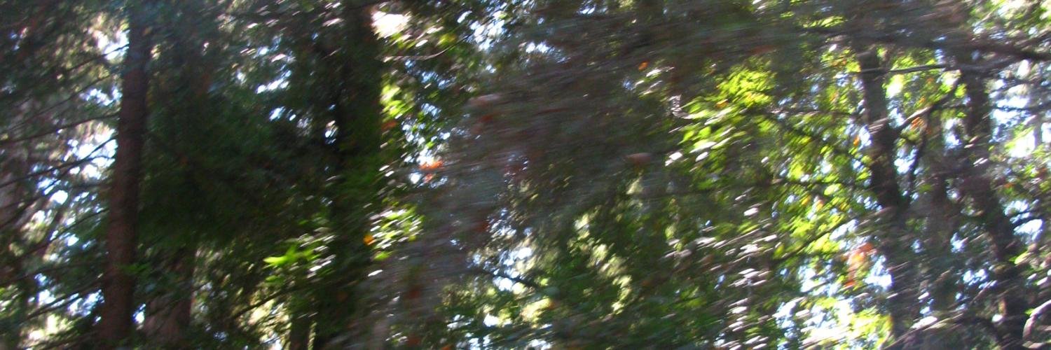 rebbyhere's profile banner image
