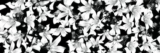 daaconst's profile banner image