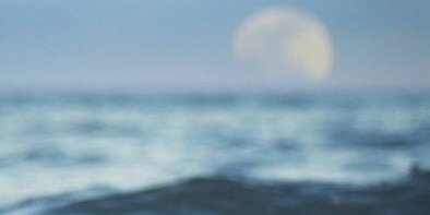 marisolarugdr's profile banner image