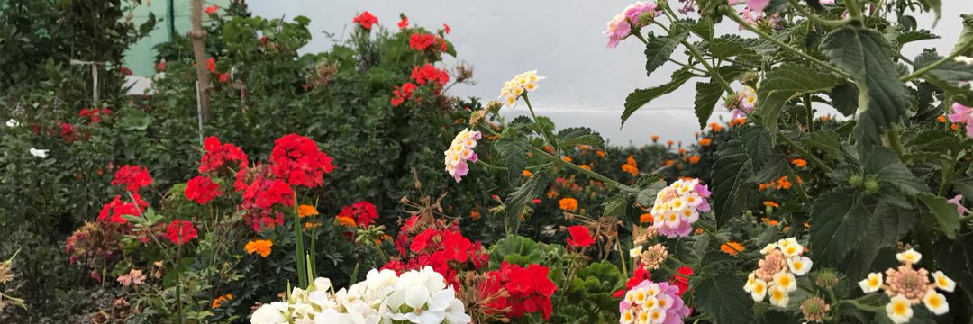 6895a309a8ff4e2's profile banner image