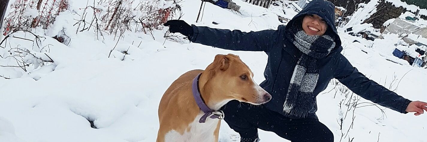 GraciJS's profile banner image