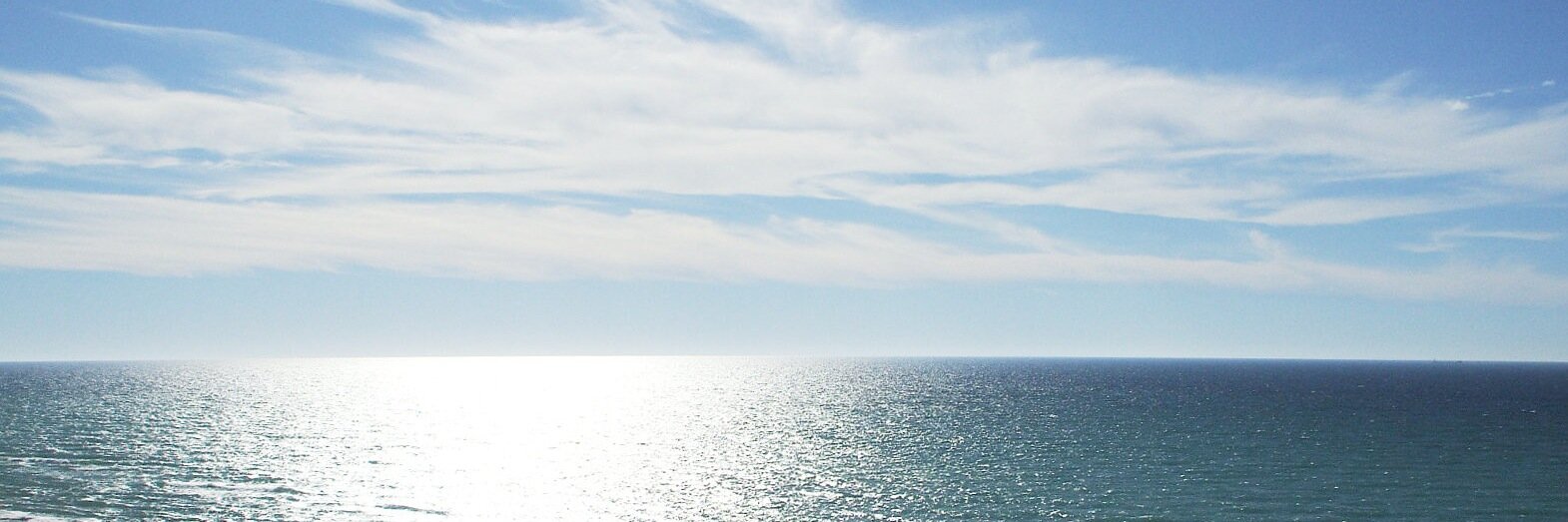 Emily Rivest banner