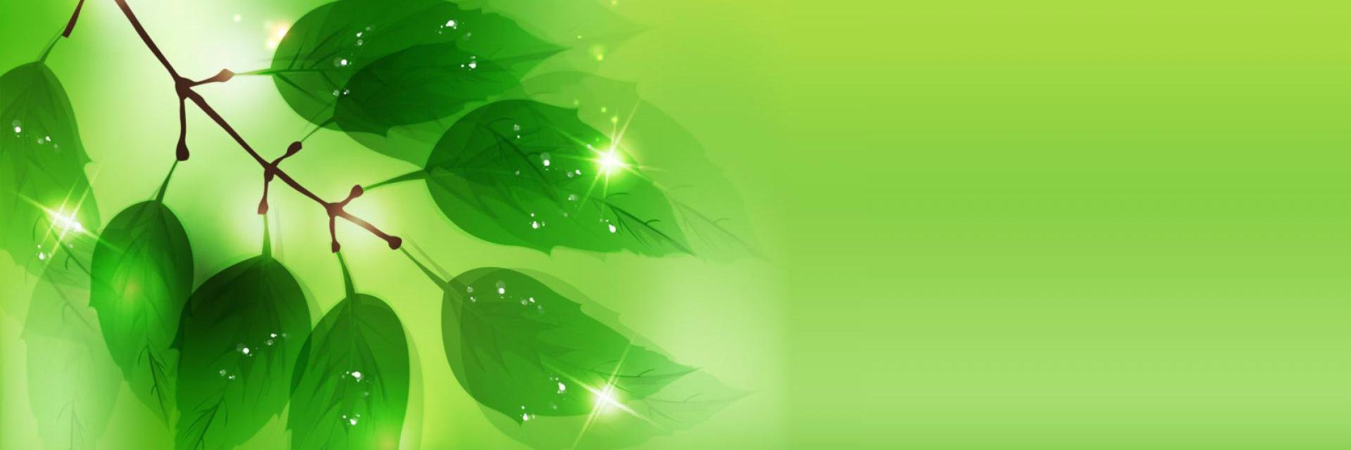 ozlem_37's profile banner image