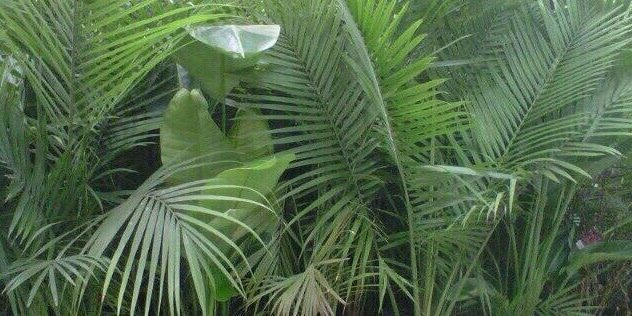 troyephbgdr's profile banner image