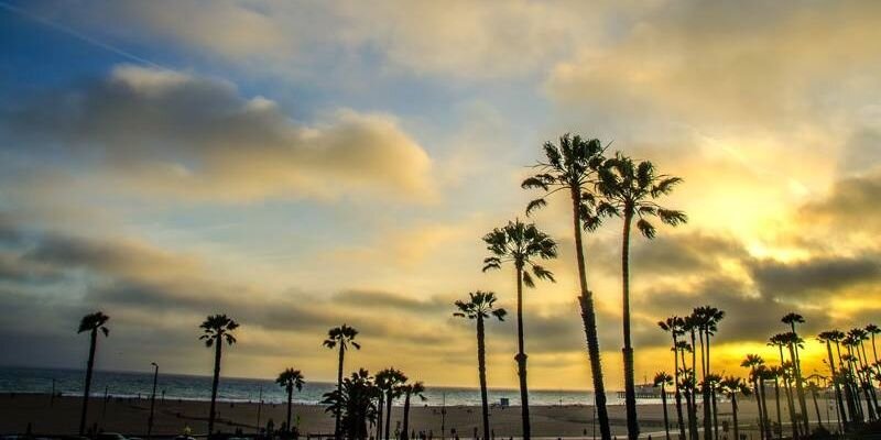 DMIGHTYDUCKFAN's profile banner image