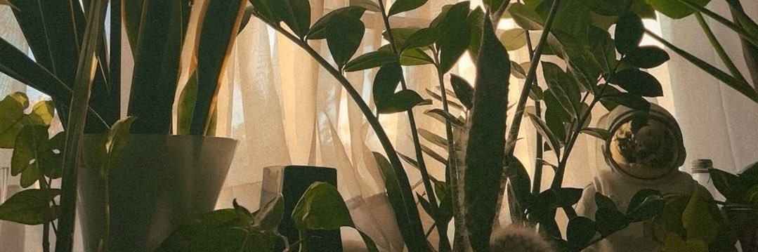 𝑫𝒂𝒍𝒕𝒐𝒏 𝑺𝒏𝒐𝒘. banner