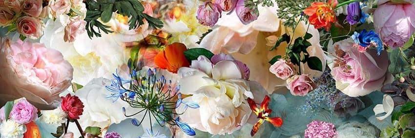 mickey2652's profile banner image