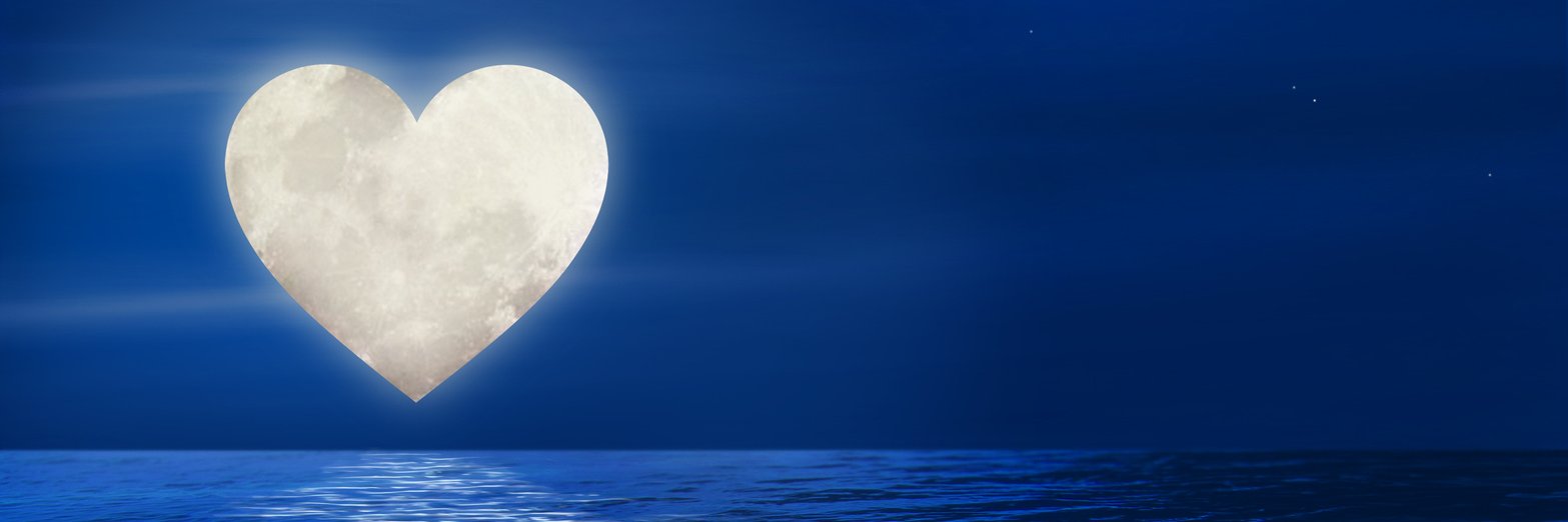 VaxtiGera's profile banner image