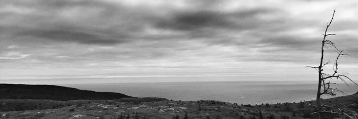 Joanne MacDonald banner