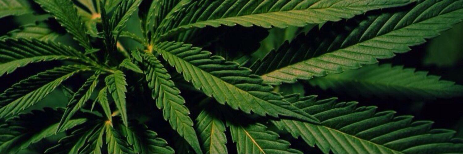 TheHighStory's profile banner image
