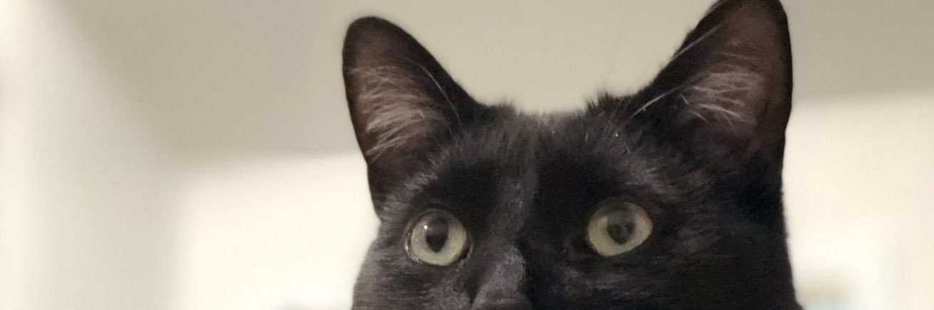 KellyTheGerman's profile banner image