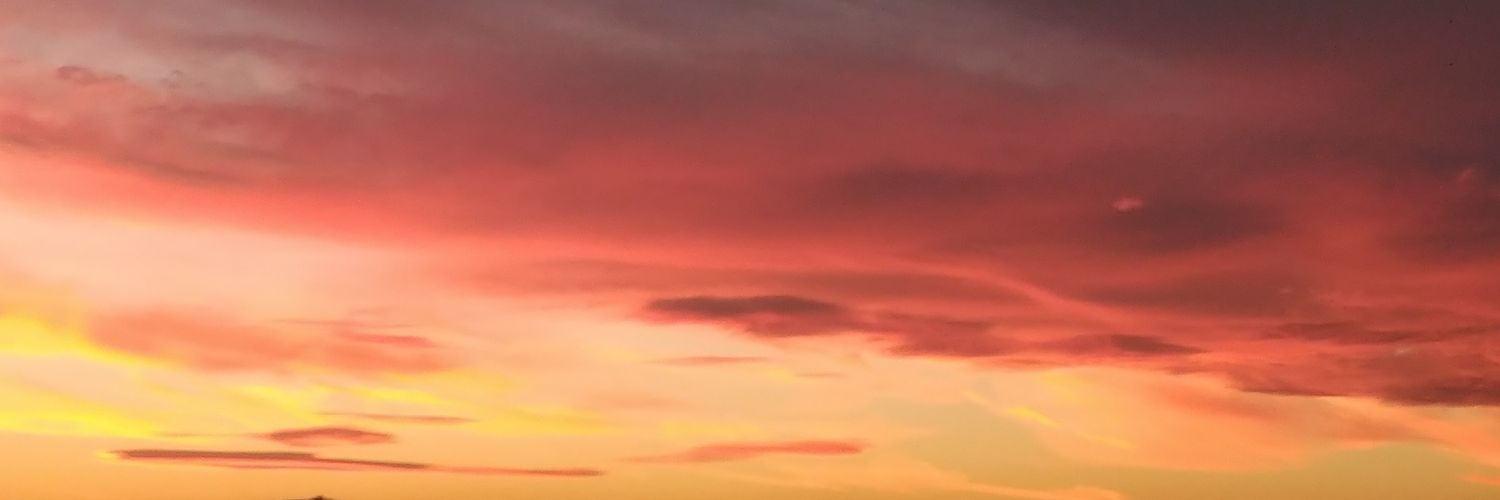 Entròpic 🕊️🇵🇸 banner